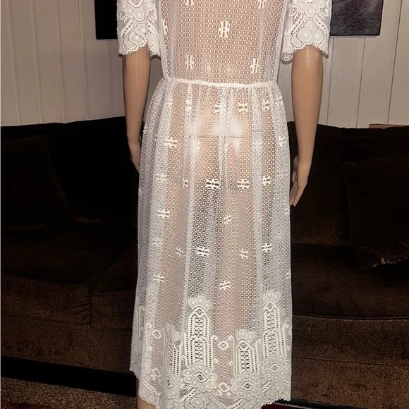 Vintage (1960’s) USA ~ Size 6 ~ Net Floral Lace Edwardian Embroidery Sexy Dress - Picture 10 of 16